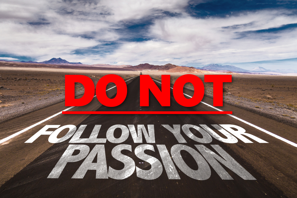 make-money-and-follow-passion